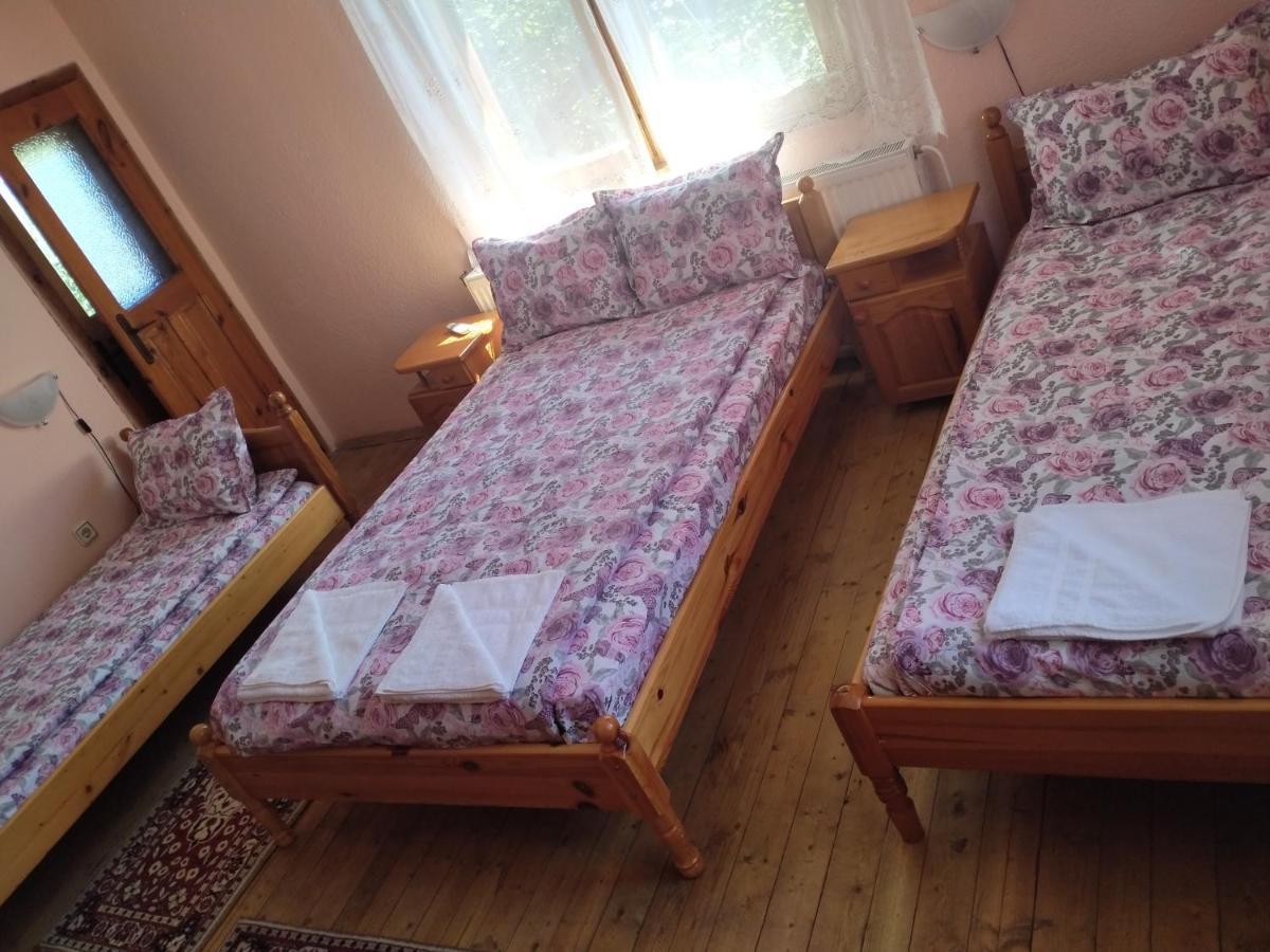 Стаи За Гости Дора Koprivştitsa Oda fotoğraf