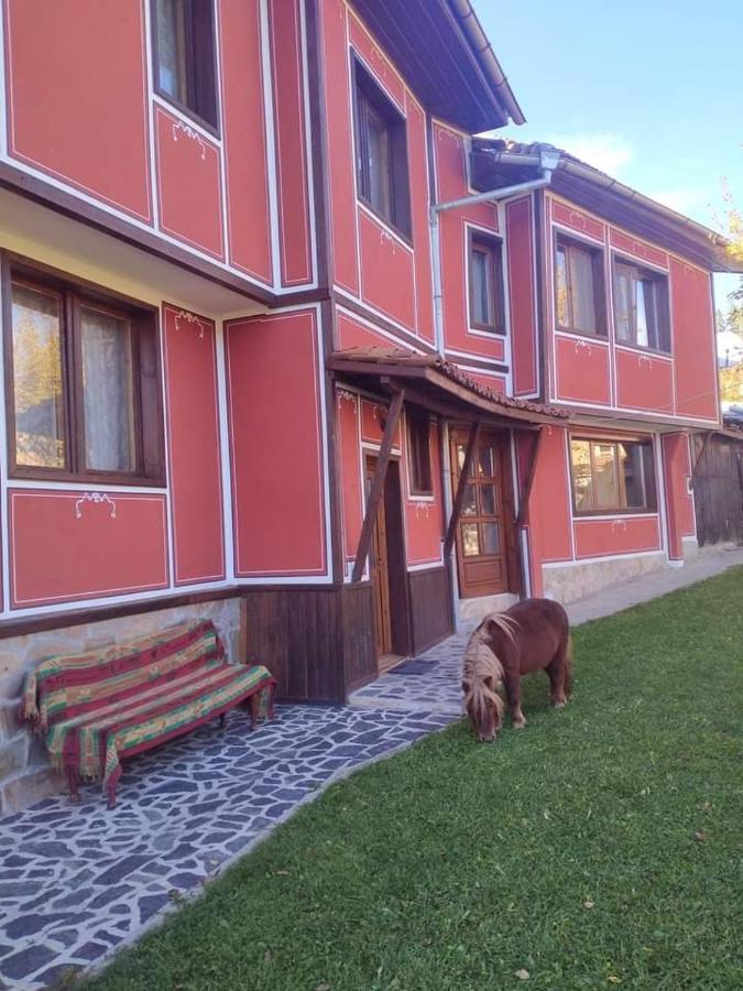 Стаи За Гости Дора Koprivştitsa Dış mekan fotoğraf